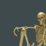 Modele anatomiczne jako najważniejsze element w nauce medycznej i działalności klinicznej.